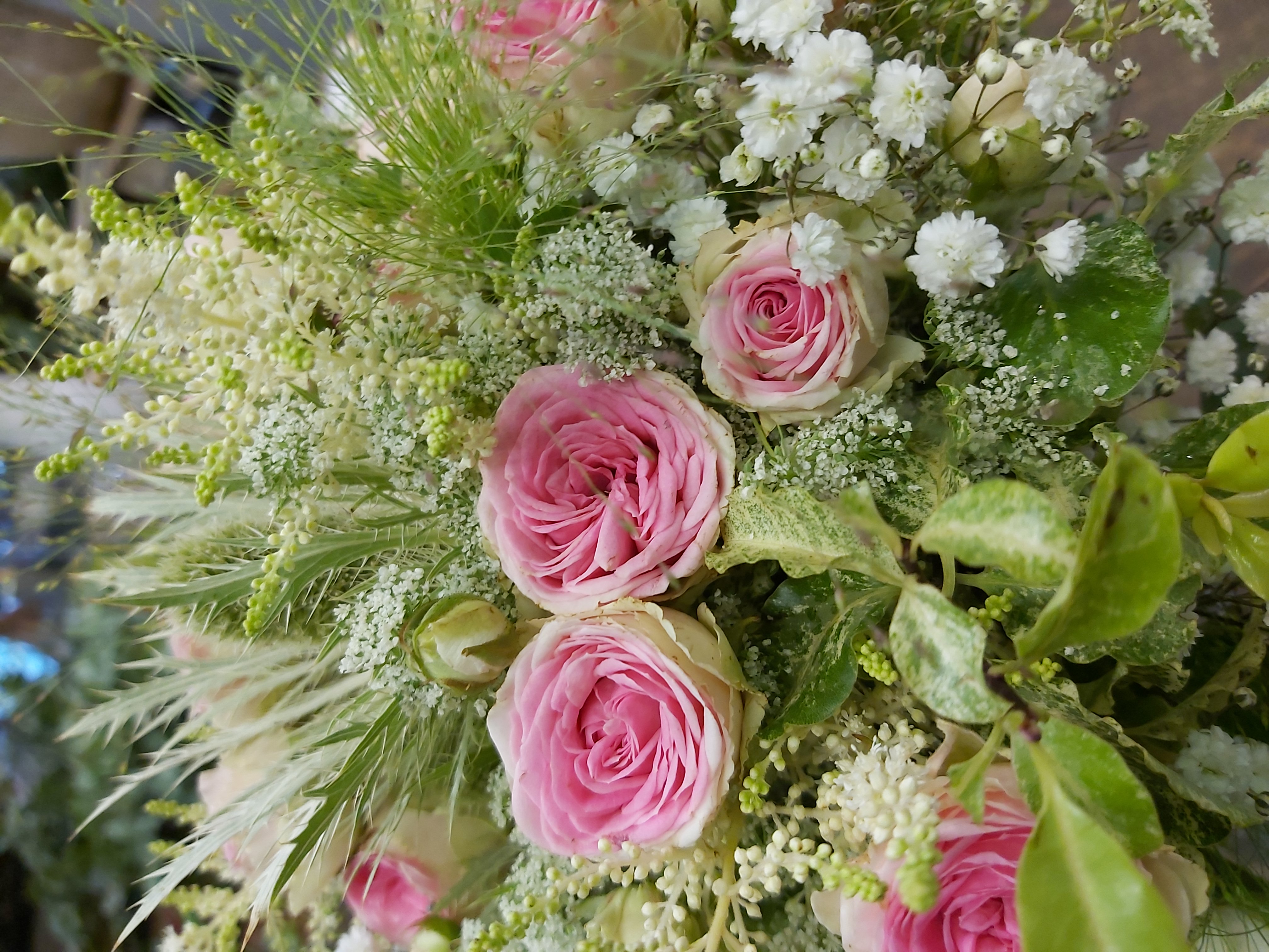 d’un bouquet composé de rosettes mini eden, chardons blancs, dille, panicum, gypsophile.